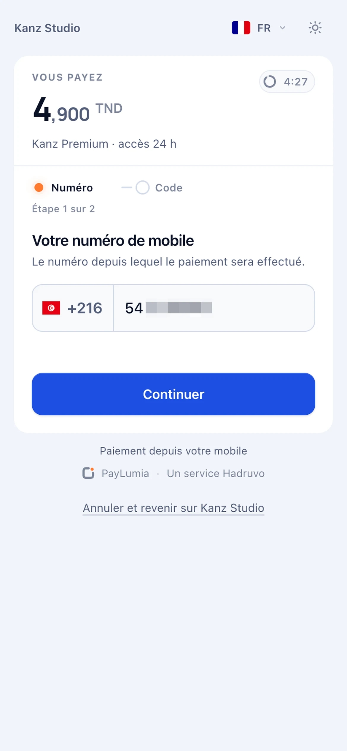 PayLumia hosted checkout on a phone